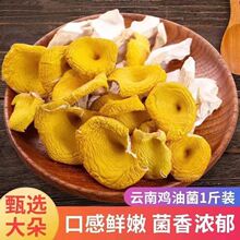 【批发价】鸡油菌干货云南特产无熏硫黄丝菌黄金菇食用菌干货批发