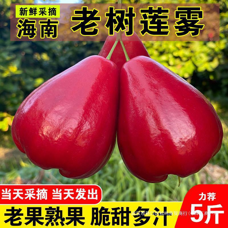 海南莲雾水果新鲜水果5斤带箱当季红宝石仙女果树上熟整箱包邮