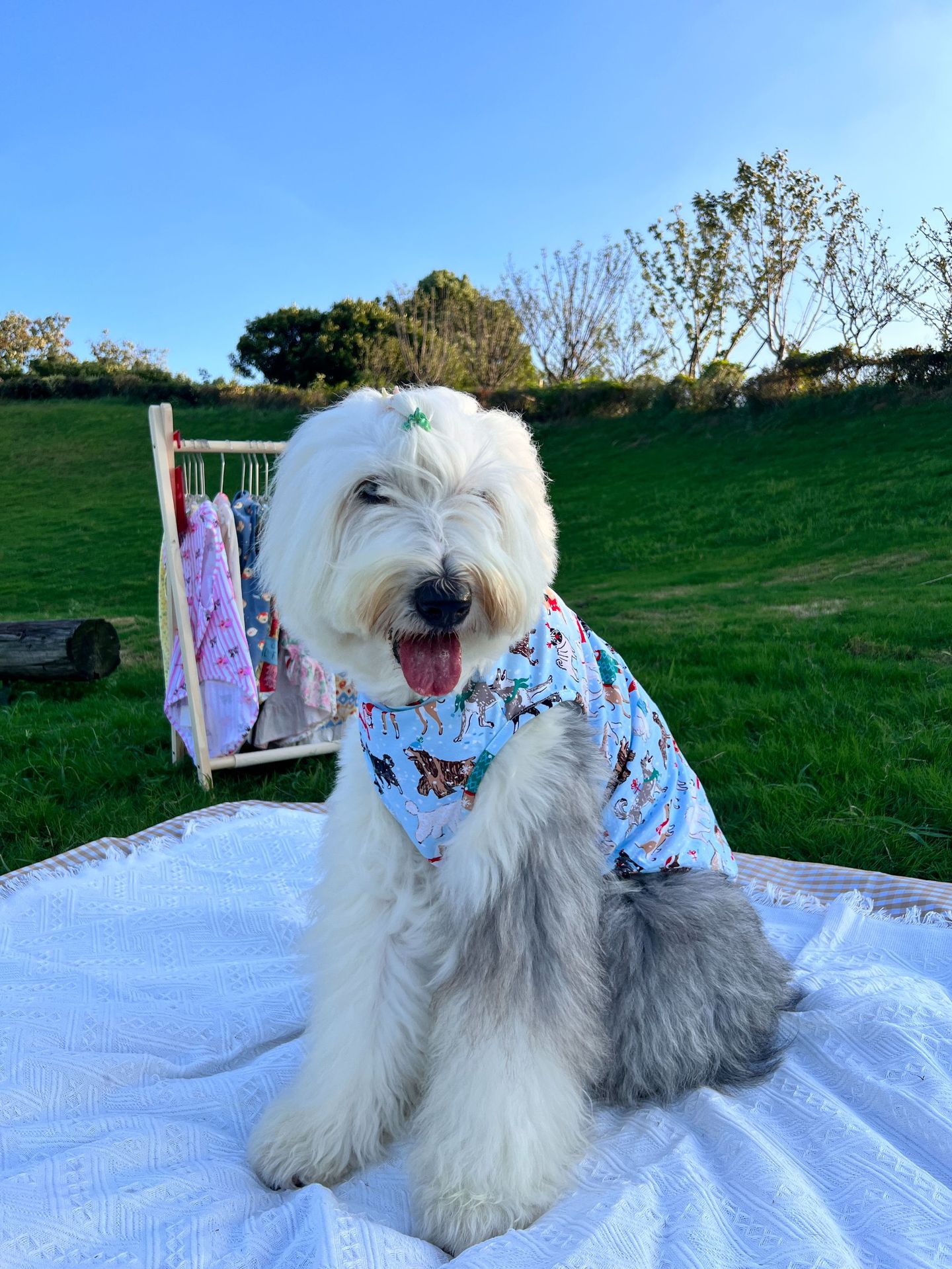 大狗衣服宠物背心薄款棉防掉毛防脏古牧金毛中大型犬舒适柔软透气