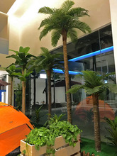 仿真椰子树假椰树仿真棕榈树酒店大堂商场摆放装饰布置景观热带树