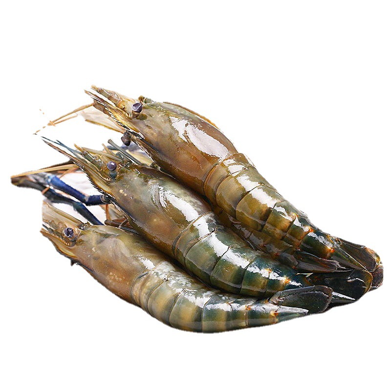 罗氏虾批发鲜活沼大头虾海鲜生鲜淡水冷冻河虾对虾大虾基围大虾