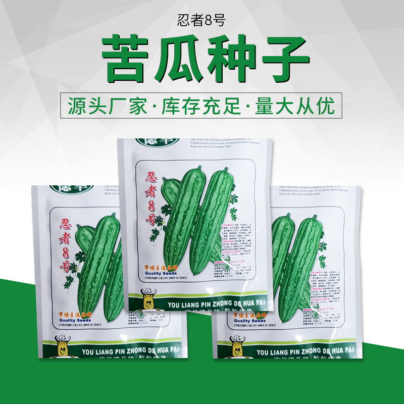 忍者8号绿皮苦瓜种子庭院盆菜植物种籽播种农业蔬菜种子批发