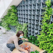 垂直绿化百变魔盒植物墙市政园艺花盆绿植墙真植物种植盒智能浇灌
