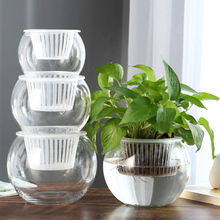 创意水培瓶植物透明玻璃花瓶容器绿萝花盆鱼花共养缸水养摆件北金