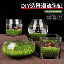 微景观生态瓶居家小鱼缸玻璃透明水培植盆栽水草四季一件代发