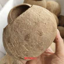 海南椰子壳抛光天然椰壳老椰壳 椰壳工艺品10cm-15cm 2个起包邮