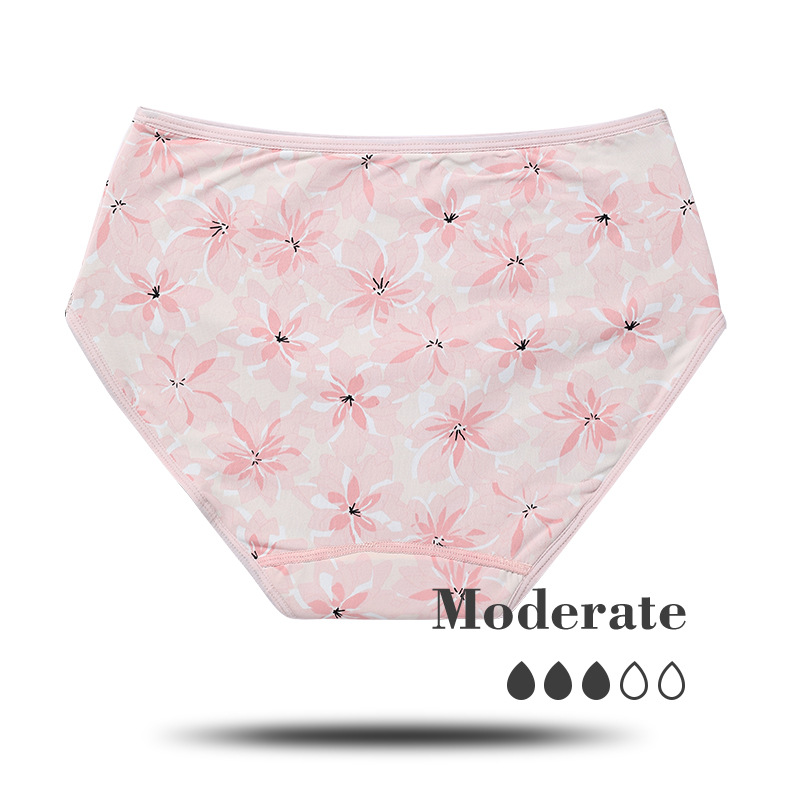 Foreign Trade Popular Style Menstrual Panties Women's Printed Menstrual Period Leak-Proof Low Waist Sanitary Napkin-Free Pants Aunt Underwear Women's Large Size