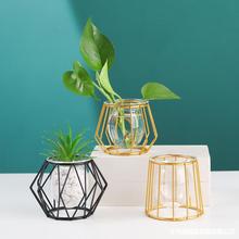 C批发欧式ins 铁艺花架水培玻璃花瓶创意家居桌面装饰植物插花摆