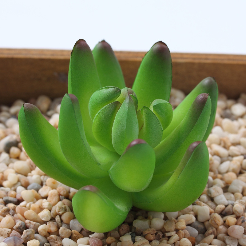 Wholesale Mini Succulent Flower Head Small Flower Arrangement Accessories Fake Succulent Plastic Flowers Decorative Plants Bonsai Greenery