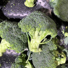 厂家直供西兰花种子绿色花菜蔬菜种子公司批发花椰菜 菜种子 大量