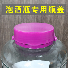 泡酒瓶盖子玻璃瓶老式大口径酒坛单卖塑料泡菜腌菜罐酒缸密封配件