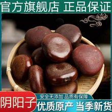 阴阳子木腰子肾果过江龙子泡茶泡酒料可搭双肾子包邮