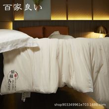 厂家定制100%双宫桑蚕丝被胎裸被芯春秋被夏凉被冬被子母被手工拉