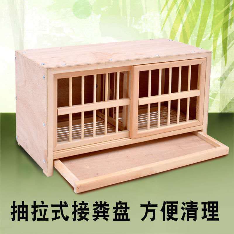信鸽鸽子用品用具