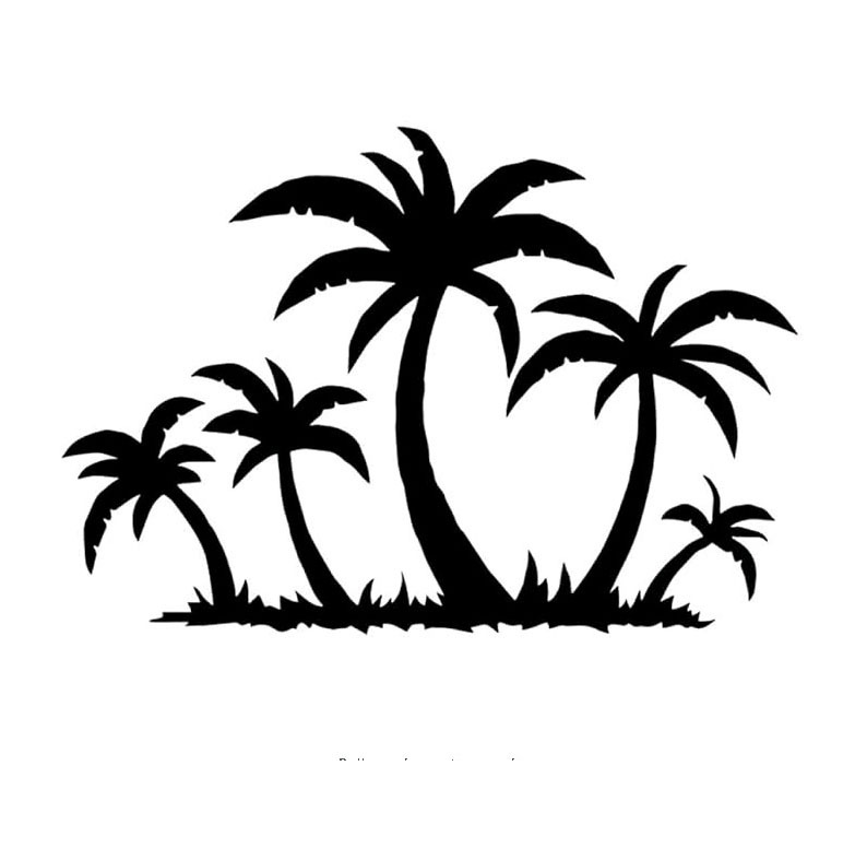 椰子树雕刻步骤图片