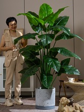 高级金钻仿真绿植高端轻奢仿生花树植物客厅室内盆栽摆件装饰假树