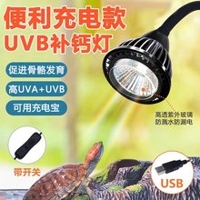 乌龟晒背灯USB充电式光谱爬宠uvauvb灯乌龟灯补钙照明