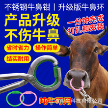 牛鼻环牛鼻圈安装钳塑料牛鼻环牵引扣畜牧养殖器械牛不锈钢牛鼻钳