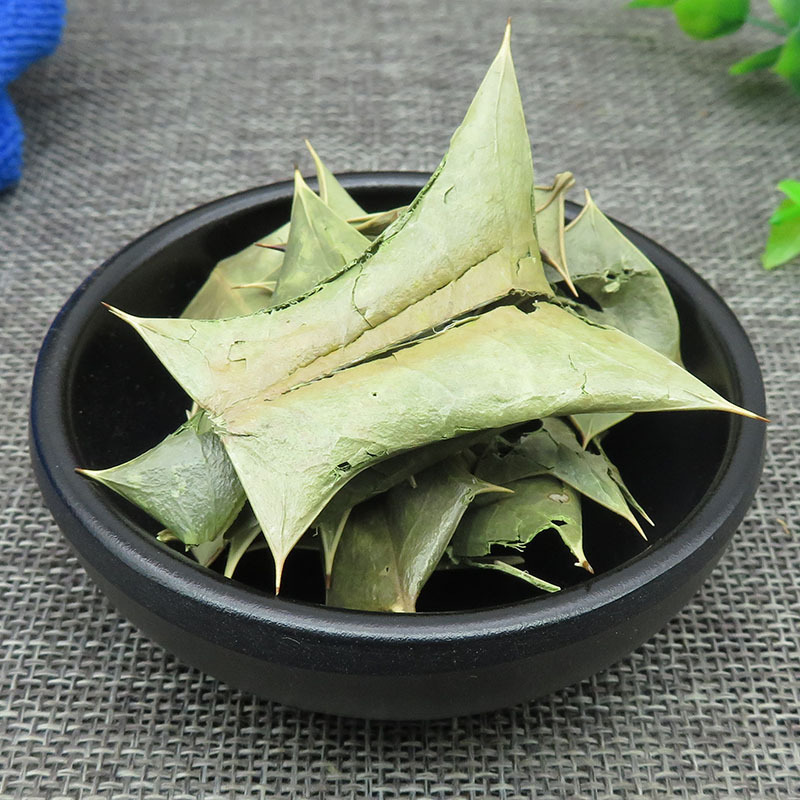 十大功劳500g克包邮功劳叶枸骨叶猫儿刺八角刺绿颜色的