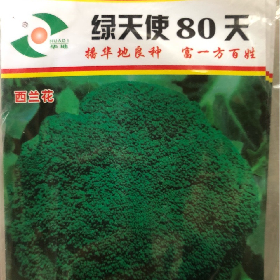 批发菜园蔬菜种子西兰花种子2克-阿里巴巴