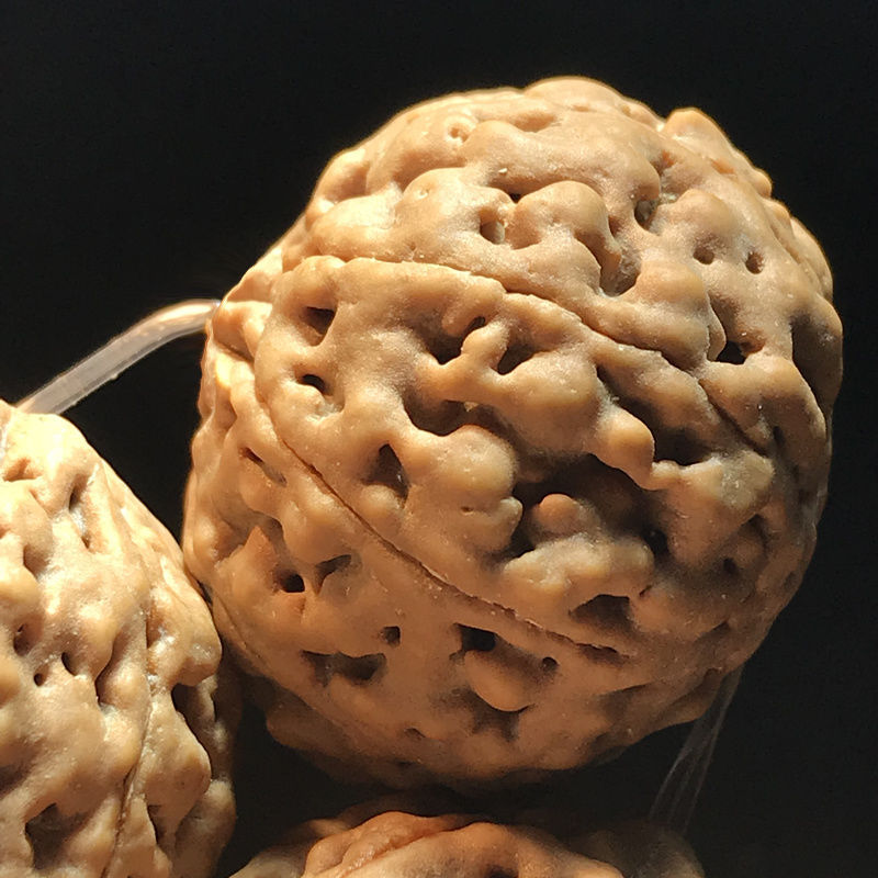 金刚菩提子手串爆肉89瓣姜黄皮蜂王原籽男士佛珠风铃子大手链念珠