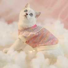 公主风猫咪小衣服冬季保暖美短虎斑橘猫金渐层幼猫毛衣针织衫