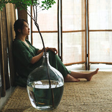 七茉北欧简约大肚玻璃花瓶日本吊钟马醉木插花水培落地透明大陈之