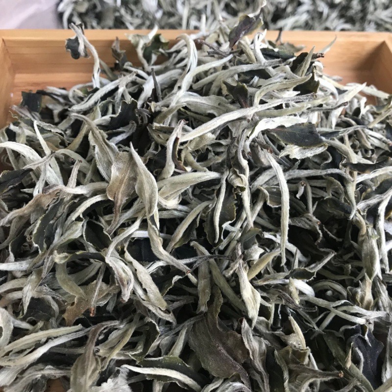 春山白茶高山野生荒野白茶一级月光白月光美人老白茶散茶礼盒装-阿里