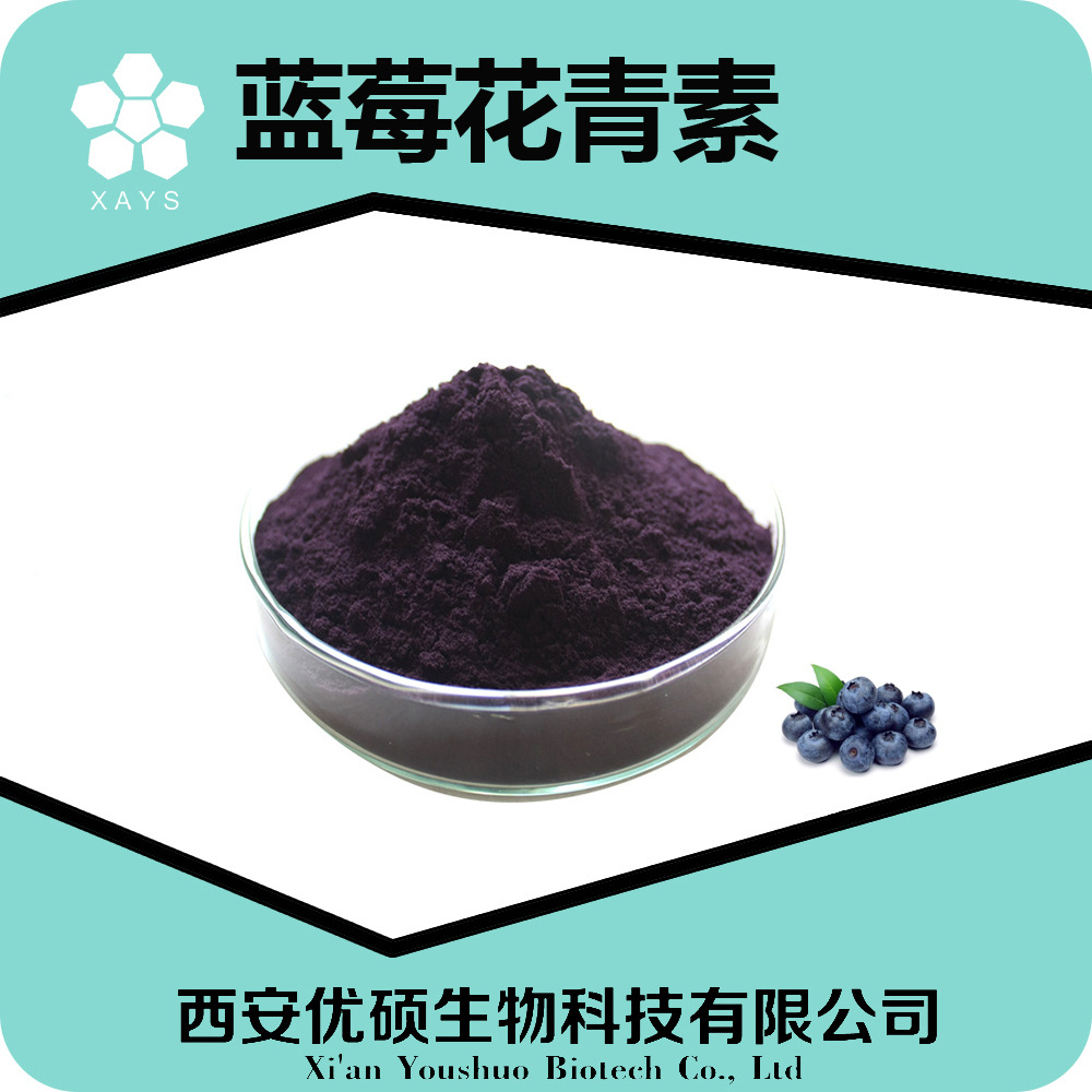 蓝莓花青素 含量50% sc证食品厂家 蓝莓提取物 蓝莓果实提取pcc1