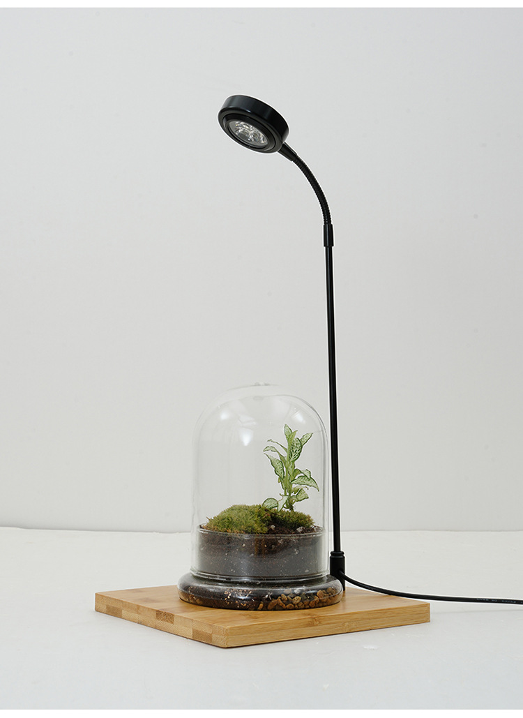 工厂直供竹板灯微景观植物灯观赏鱼缸射灯玻璃瓶苔藓生长补光灯