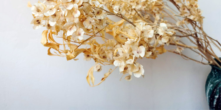 2021新品狂想者源头工厂香薰蜡烛家居饰品自然干花白色迎客豆