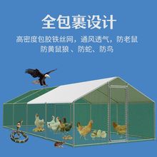 鸡笼鸽笼兔笼户外防雨养殖棚大型家用鸡舍铁丝围栏宠物笼搭建鸡棚