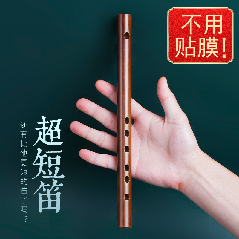 古风初学苦竹笛子成人零基础f调儿童g横笛入门无膜短笛冷门小乐器