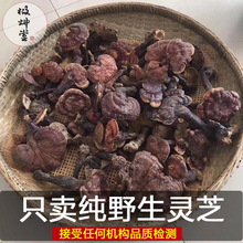 云南哀牢山野生赤灵芝400g哀牢山野生红灵芝5-9公分可切片块_阿里巴巴