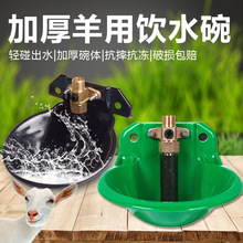 羊用饮水碗羊喝水槽牛羊饮水槽喂水羊自动饮水器养羊用的设备