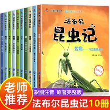 全10册法布尔昆虫记正版原著彩图注音版一二三年级小学生课外书