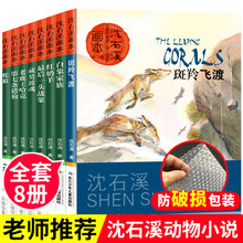 沈石沈石溪动物小说全集正版全套8册 画本儿童文学斑羚飞渡