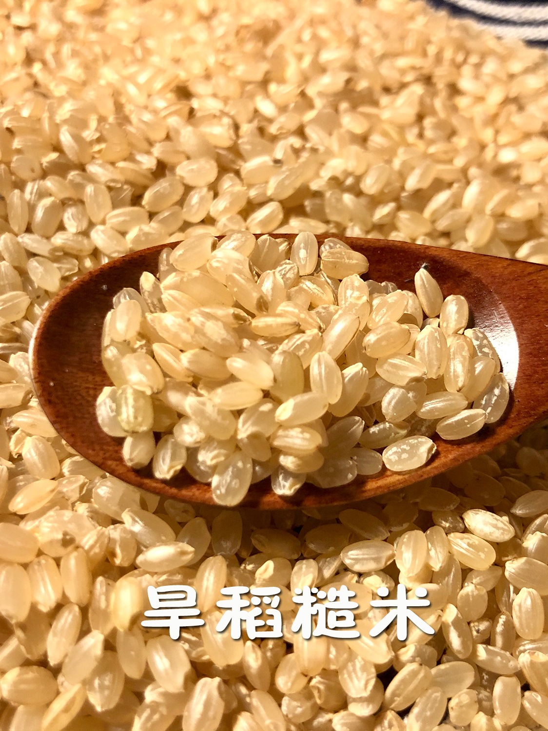 糙米旱稻新米农家自种胚芽米五谷杂粮饭粥一份5斤梗米