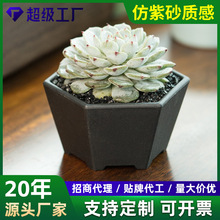 多肉花盆肉肉室内盆景盆复古简约防摔加厚塑料仿紫砂树脂花盆批发