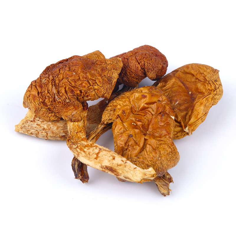 【全年供应】滑子菇干货 东北特产滑菇菌菇无根蘑菇煲汤材料整发