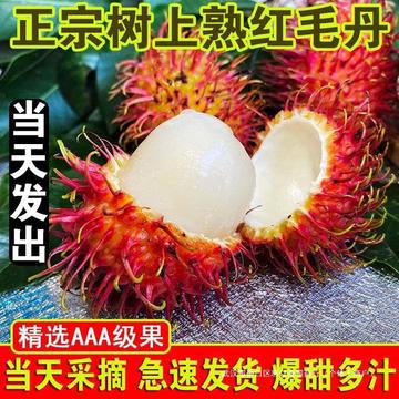 海南保亭红毛丹热带水果当季毛荔枝毛丹果新鲜1斤带箱包邮-阿里巴巴