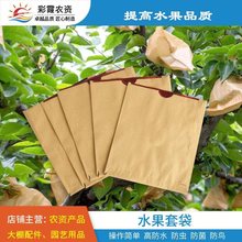水果套袋芒果黄桃梨子枇杷保护袋果树防虫防鸟防雨水纸袋包邮