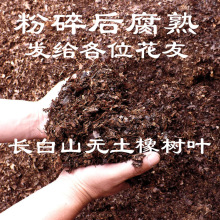 兰花专用松针土橡树叶腐叶种植土腐熟松针多肉植物绿萝无土纯松针