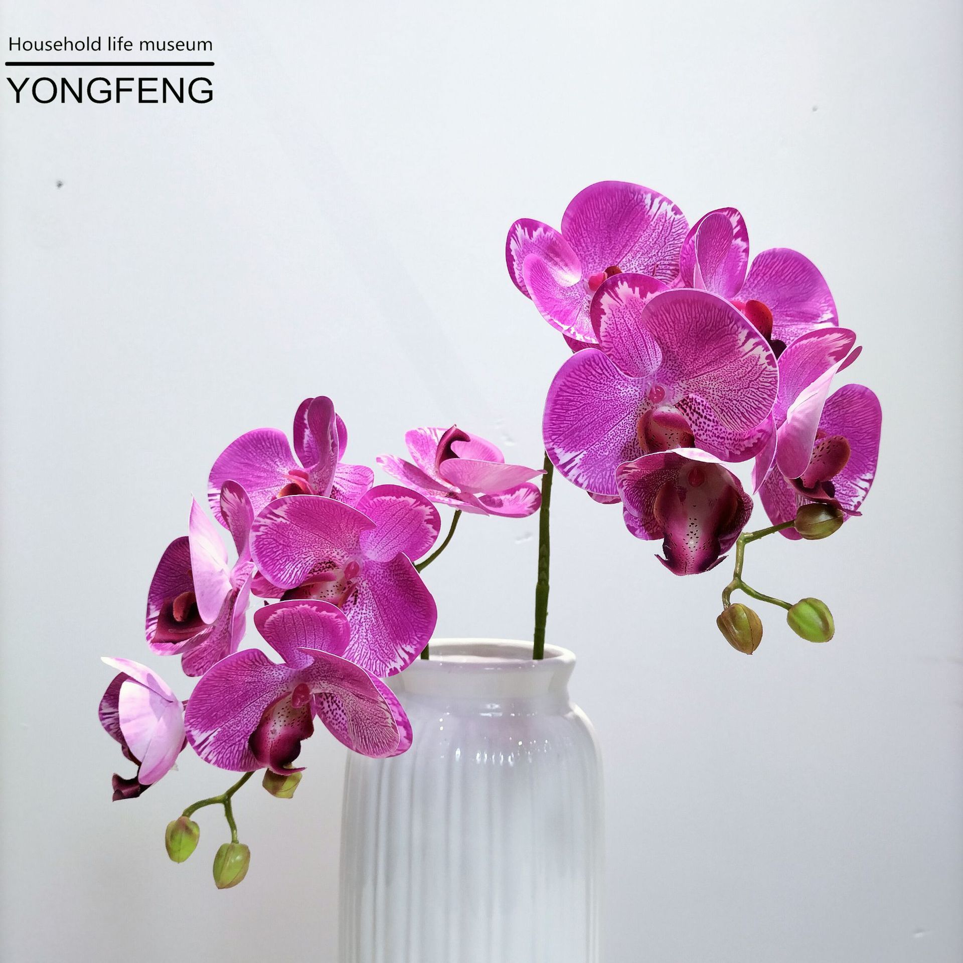 Factory Wholesale 3d Printing Pu Feel Phalaenopsis Emulational Flower and Silk Flower Wedding Home Decoration Photography Props Potted Plant