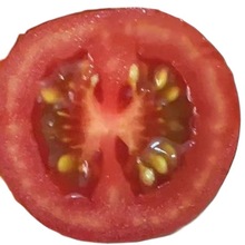 广西千禧小番茄新鲜小番茄小西红柿当季大红水果酸甜爆汁一件代发