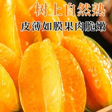 福建漳州甜杨桃5斤水果当季整箱洋桃鲜果新鲜红龙扬桃五角星阳桃