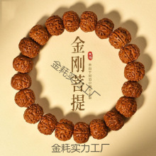 树王爆肉小金刚菩提子手串男士核桃原籽普提文玩手链佛珠单圈