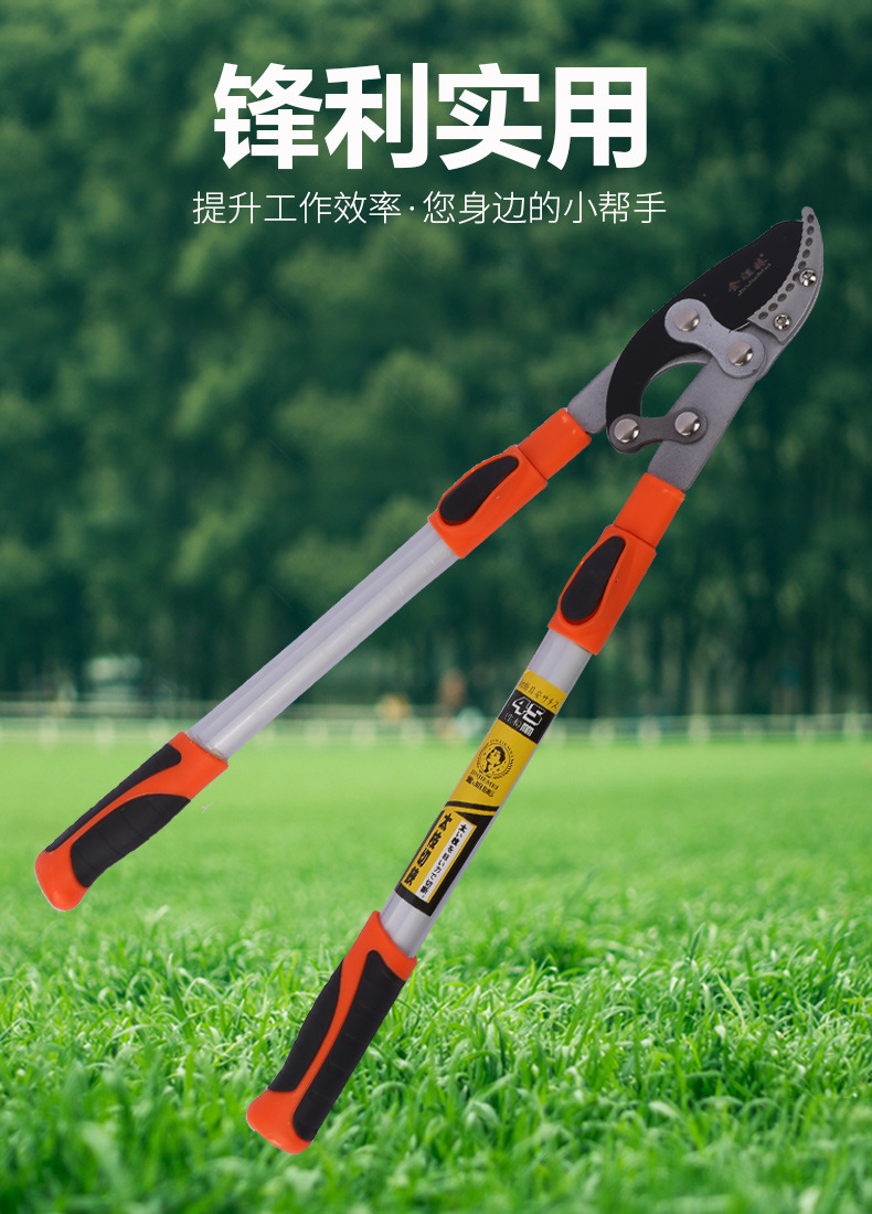 粗枝剪 厂家供应园林粗枝剪花枝高枝剪修剪树枝剪刀果树剪枝