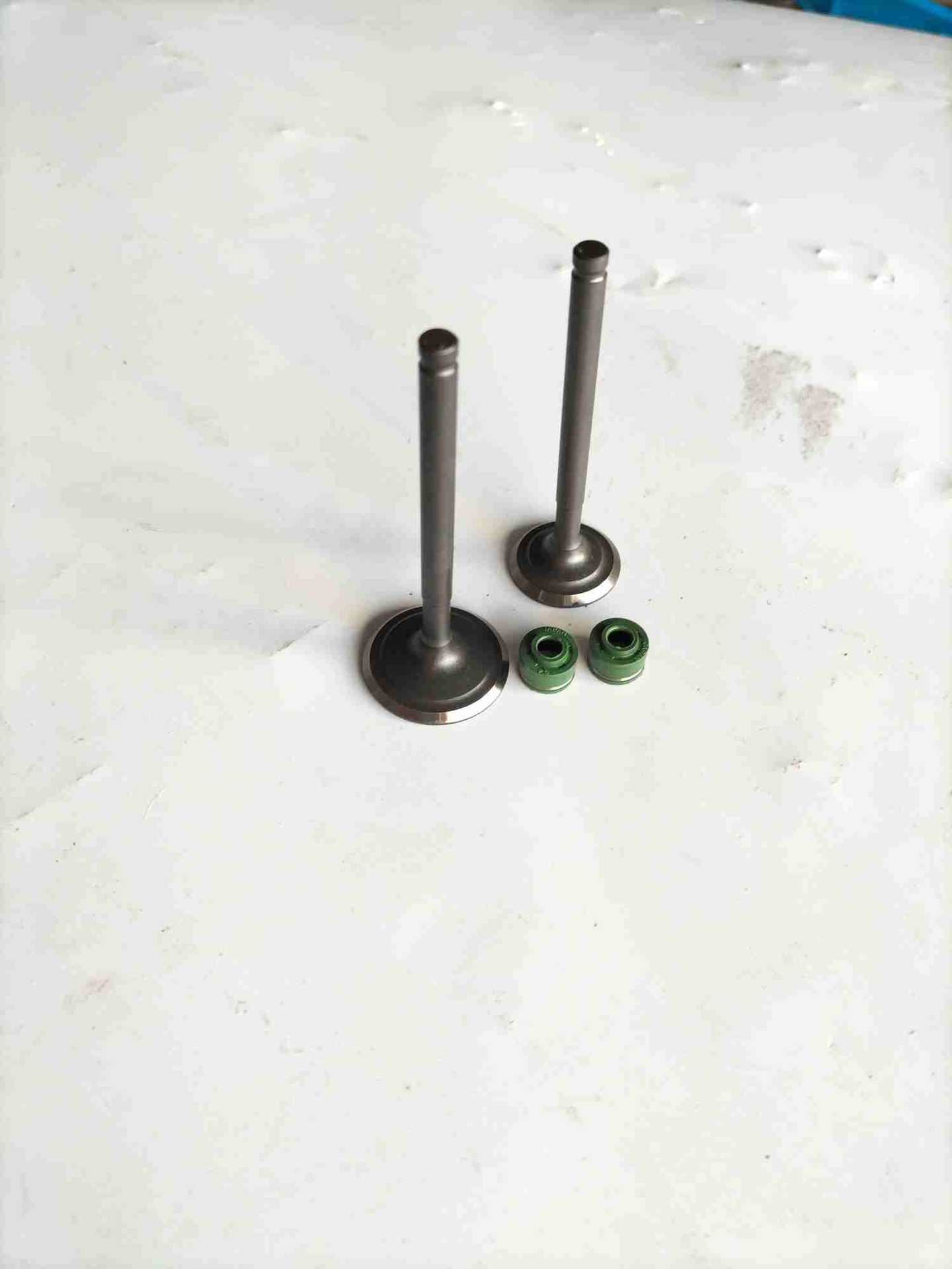 越野摩托车配件发动机气门银翔150气门yx150进排气门缸头气门油封