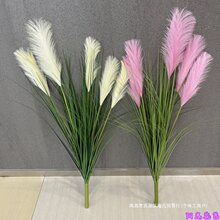 新品芦苇盆栽干花假花五谷杂粮道具狗尾草水生装饰落地绿植物